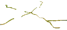 bdg_extensive_roadnet.png